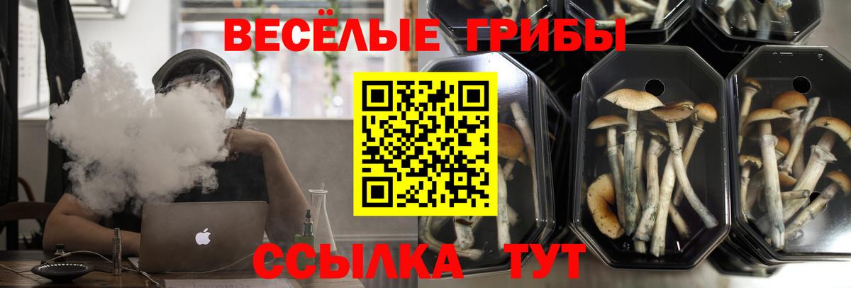 Гагарин  Галлюциногенные грибы мицелий  Вход с VPN 