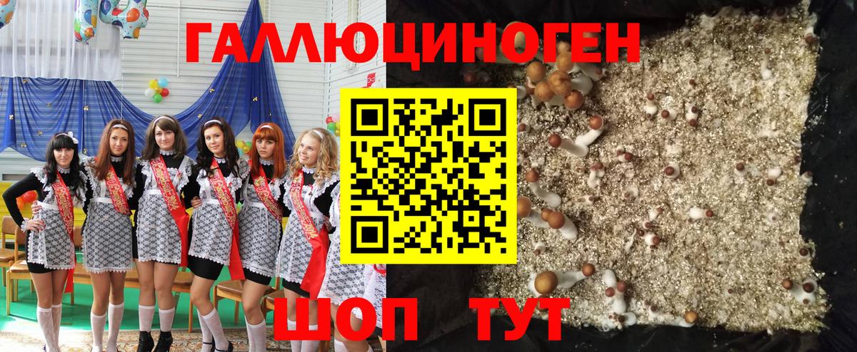 Галлюциногенные грибы Psilocybine cubensis Гагарин